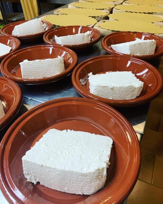 B&B Helga'S Agricampeggio Seùlo المظهر الخارجي الصورة