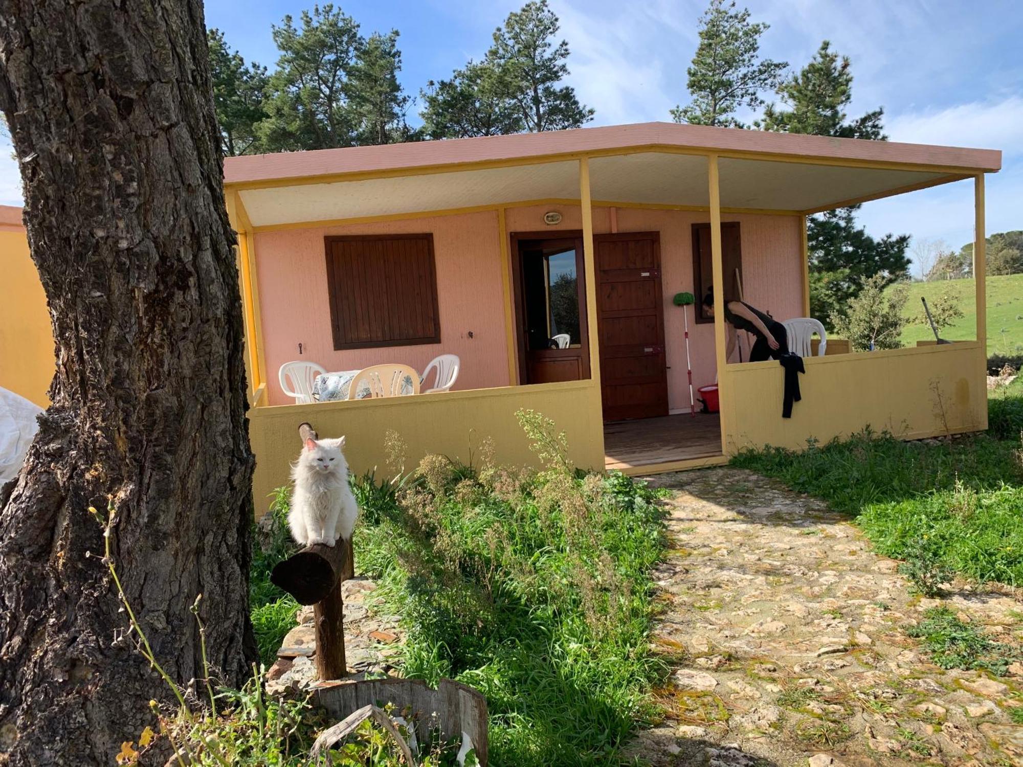 B&B Helga'S Agricampeggio Seùlo المظهر الخارجي الصورة