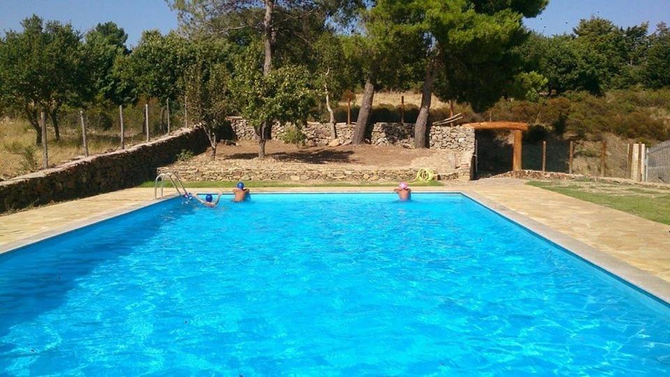 B&B Helga'S Agricampeggio Seùlo المظهر الخارجي الصورة