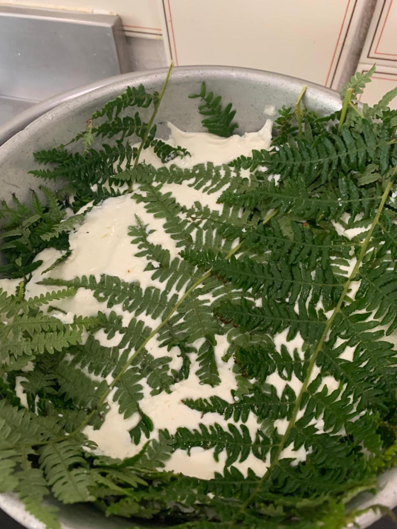 B&B Helga'S Agricampeggio Seùlo المظهر الخارجي الصورة